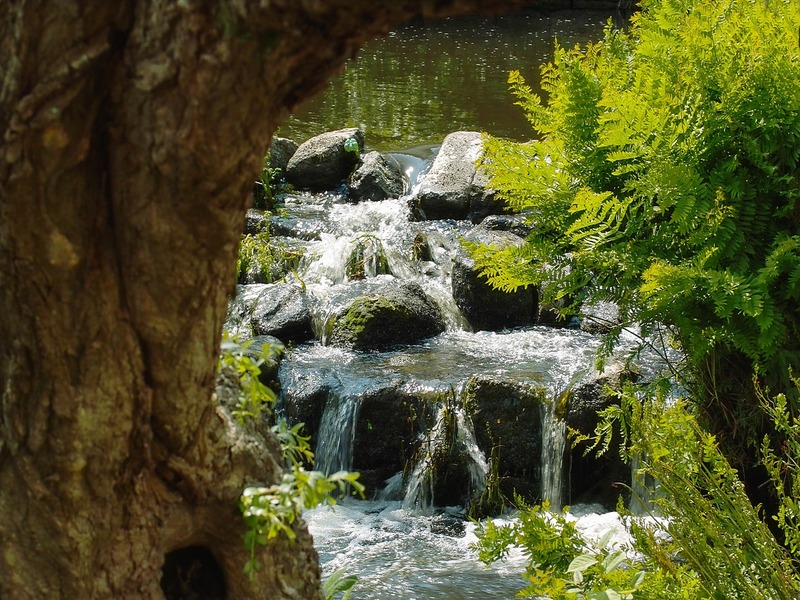 La qualité des eaux de la région Bretagne